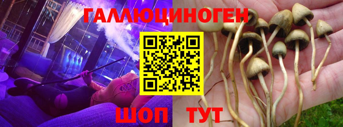 Галлюциногенные грибы мухоморы Людиново